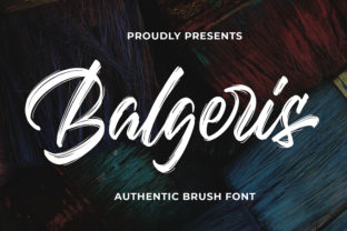 Balgeris: A Premium Script Typeface for Web Design