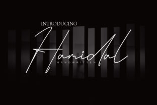 Hamidal: A Unique Script Handwritten Font Review