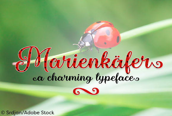 Marienkaefer: A Charming Calligraphy Typeface for Makers