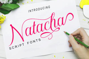 Natacha: A Modern Calligraphy Typeface for Web Design