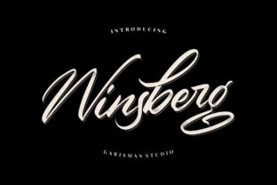 Winsberg: The Bold Script Font for Marketers