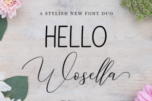 Wosella Duo: A Bold Script Handwritten Font for Editors